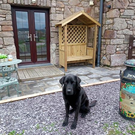 Conwy Pen Cefn Farm Holiday Abergele Ngoại thất bức ảnh