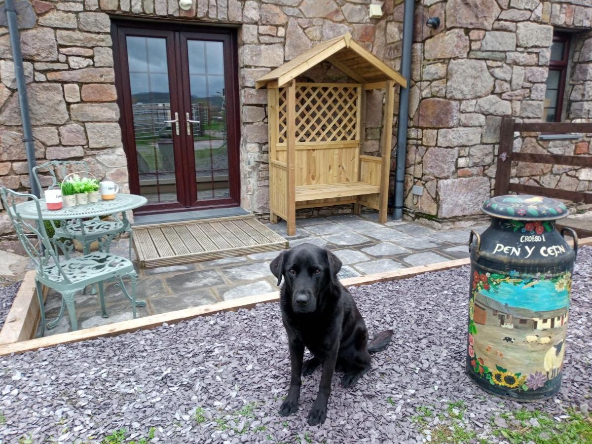 Conwy Pen Cefn Farm Holiday Abergele Ngoại thất bức ảnh