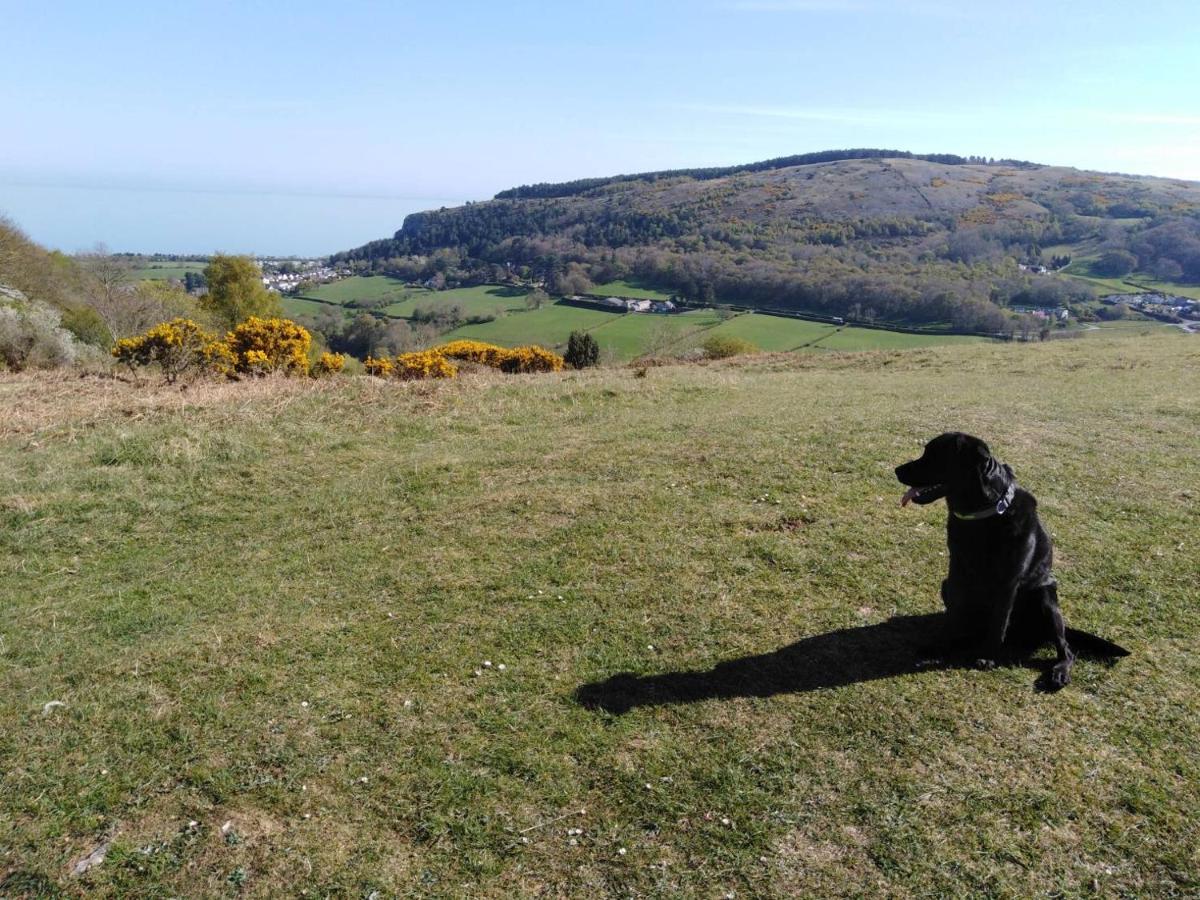 Conwy Pen Cefn Farm Holiday Abergele Ngoại thất bức ảnh